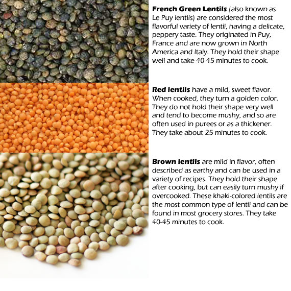 LentilTypesChart